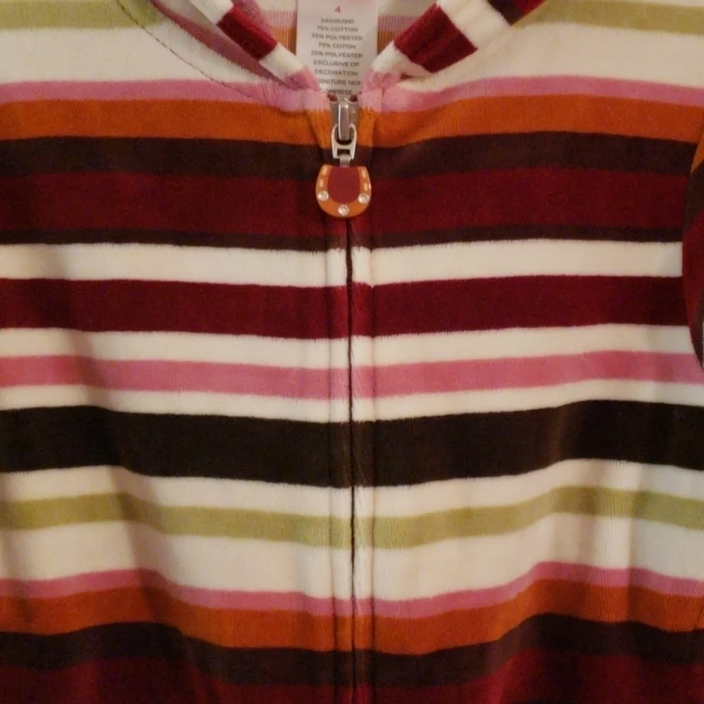 Gymboree Velour Striped Hoodie